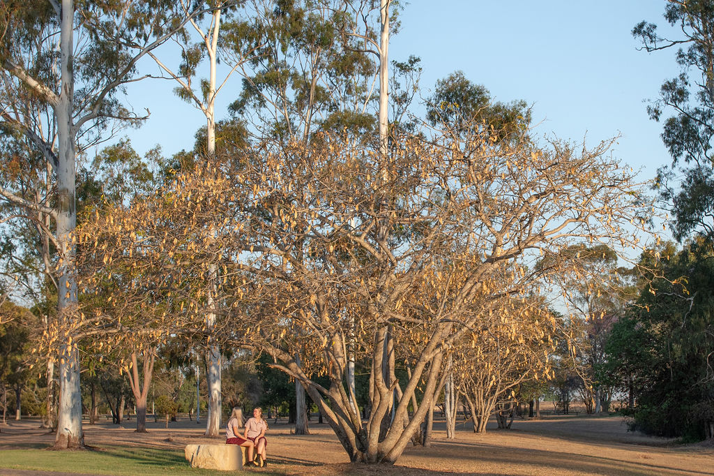 Bunya campus.jpg